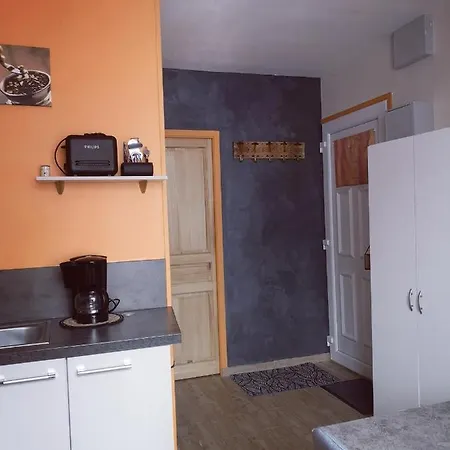 Appartement Idealement Situe Le Mont-Dore Exterior photo